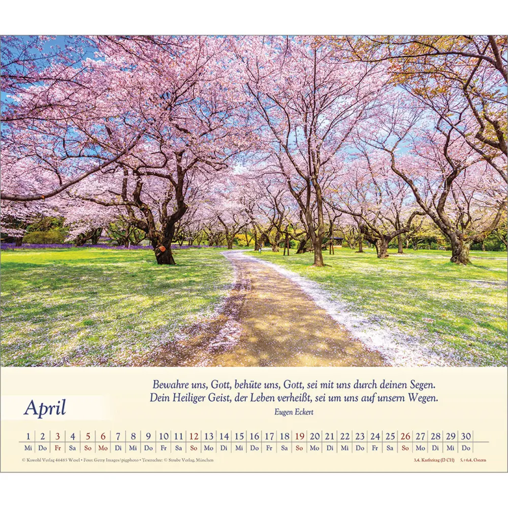 Bild: 9783754864562 | Balsam für deine Seele 2026 | Kalender | Spiralbindung | Deutsch