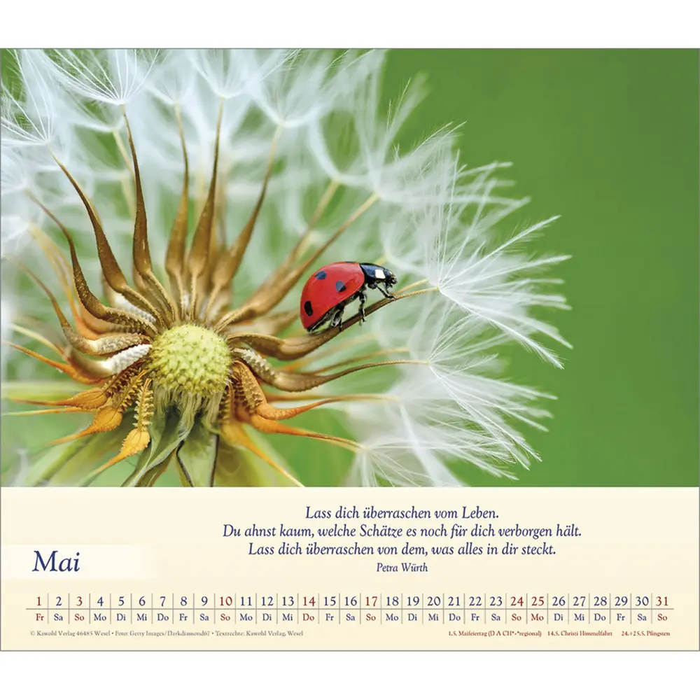 Bild: 9783754864562 | Balsam für deine Seele 2026 | Kalender | Spiralbindung | Deutsch