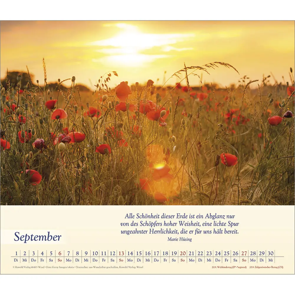 Bild: 9783754864562 | Balsam für deine Seele 2026 | Kalender | Spiralbindung | Deutsch