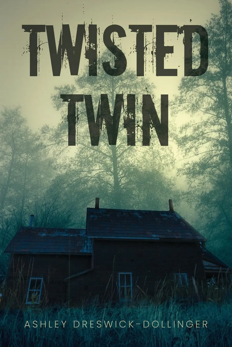 Cover: 9798822974562 | Twisted Twin | Ashley Dreswick-Dollinger | Taschenbuch | Englisch