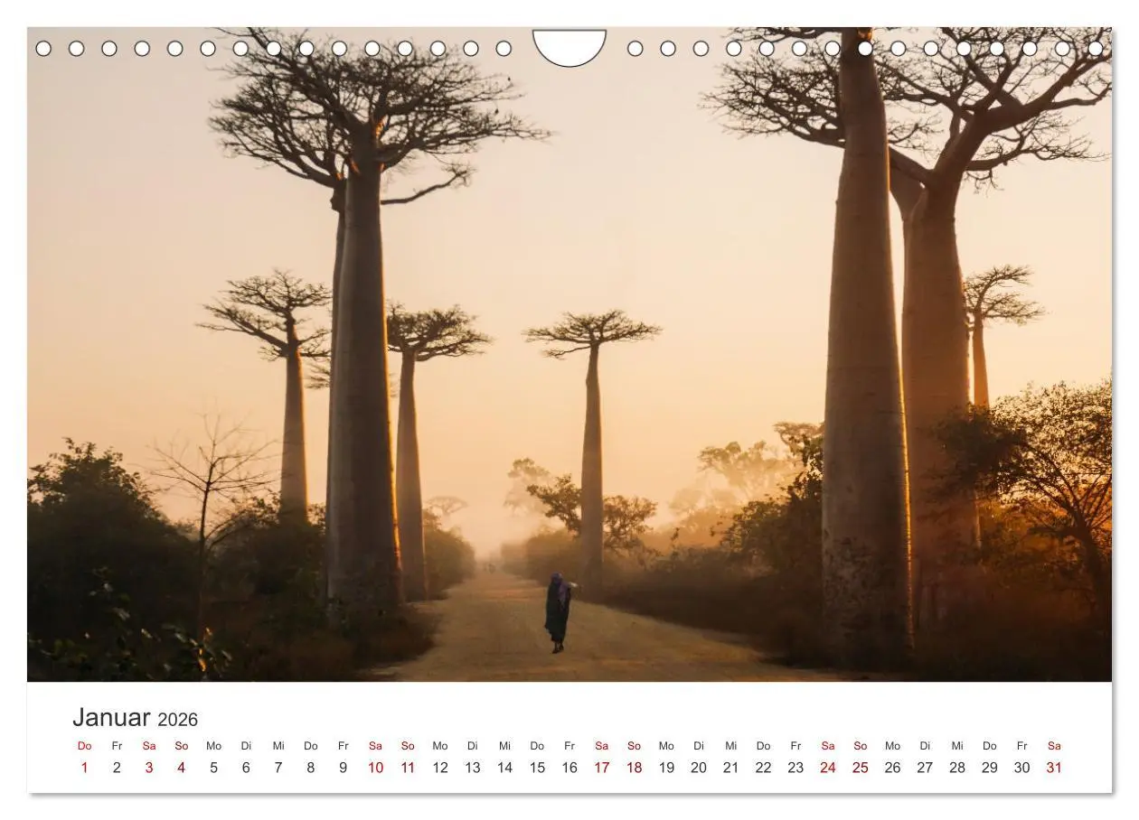 Bild: 9783457614662 | Madagaskar - Eine traumhafte Insel. (Wandkalender 2026 DIN A4...