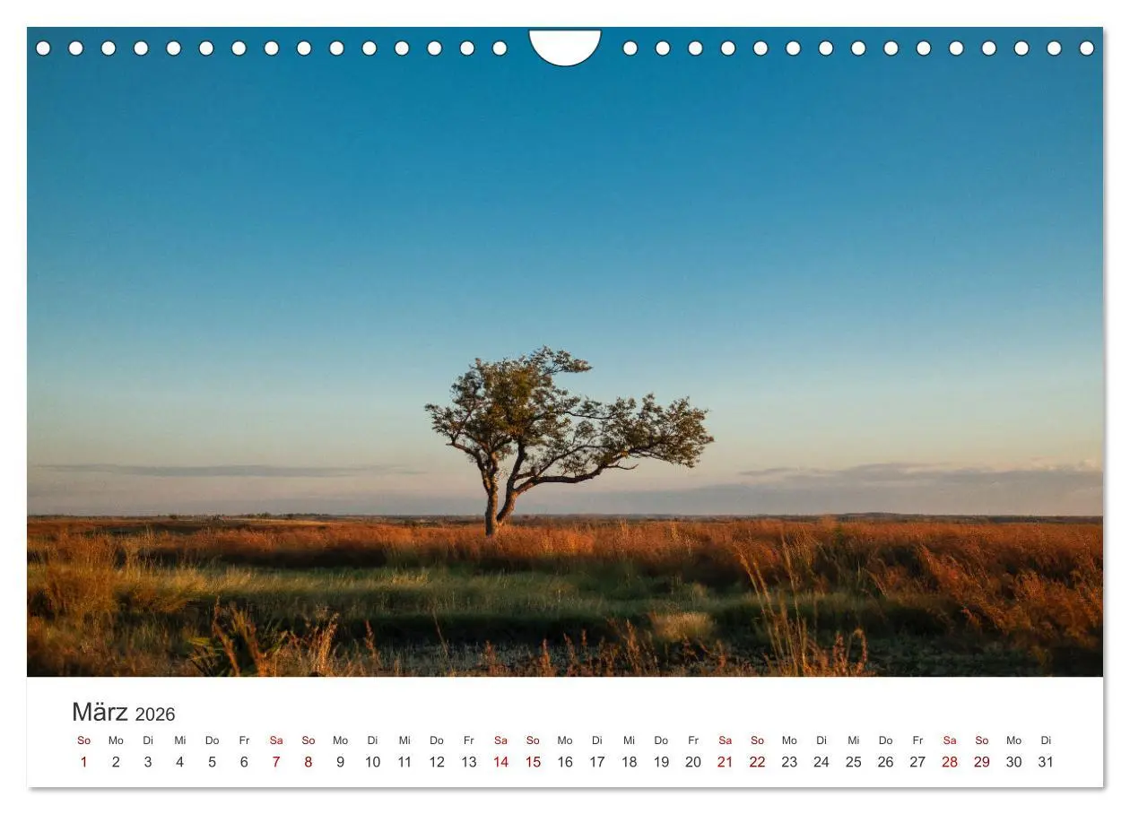 Bild: 9783457614662 | Madagaskar - Eine traumhafte Insel. (Wandkalender 2026 DIN A4...
