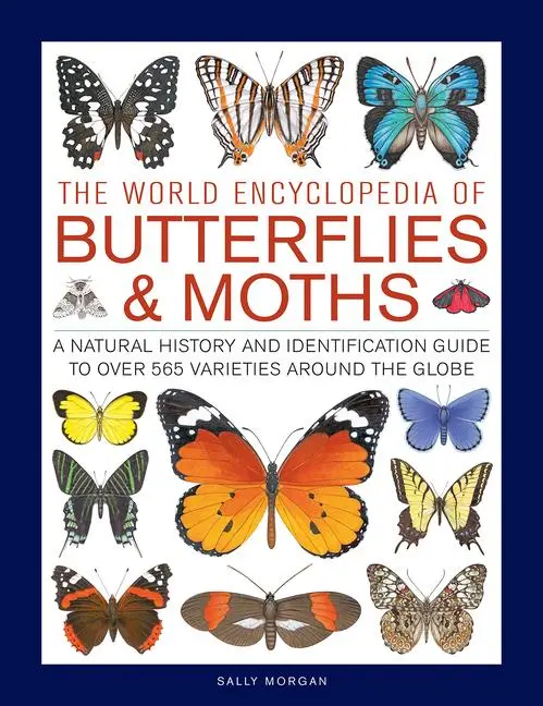 Cover: 9780754834762 | The World Encyclopedia of Butterflies &amp; Moths | Sally Morgan | Buch