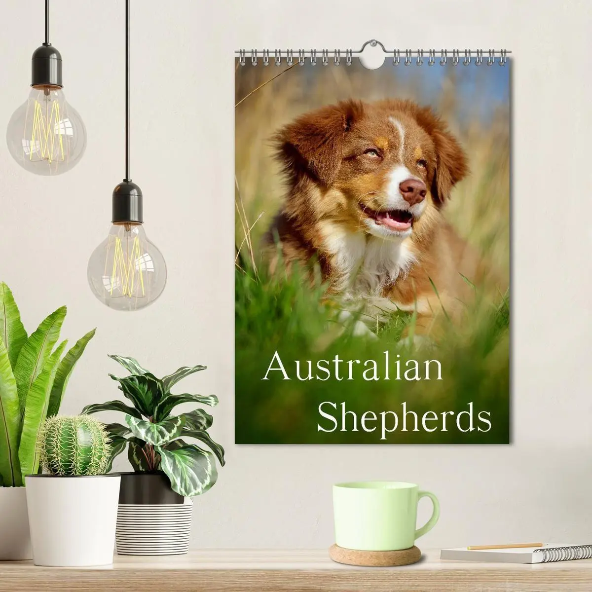 Bild: 9783594154762 | Australian Shepherds (Wandkalender 2027 DIN A4 hoch), CALVENDO...