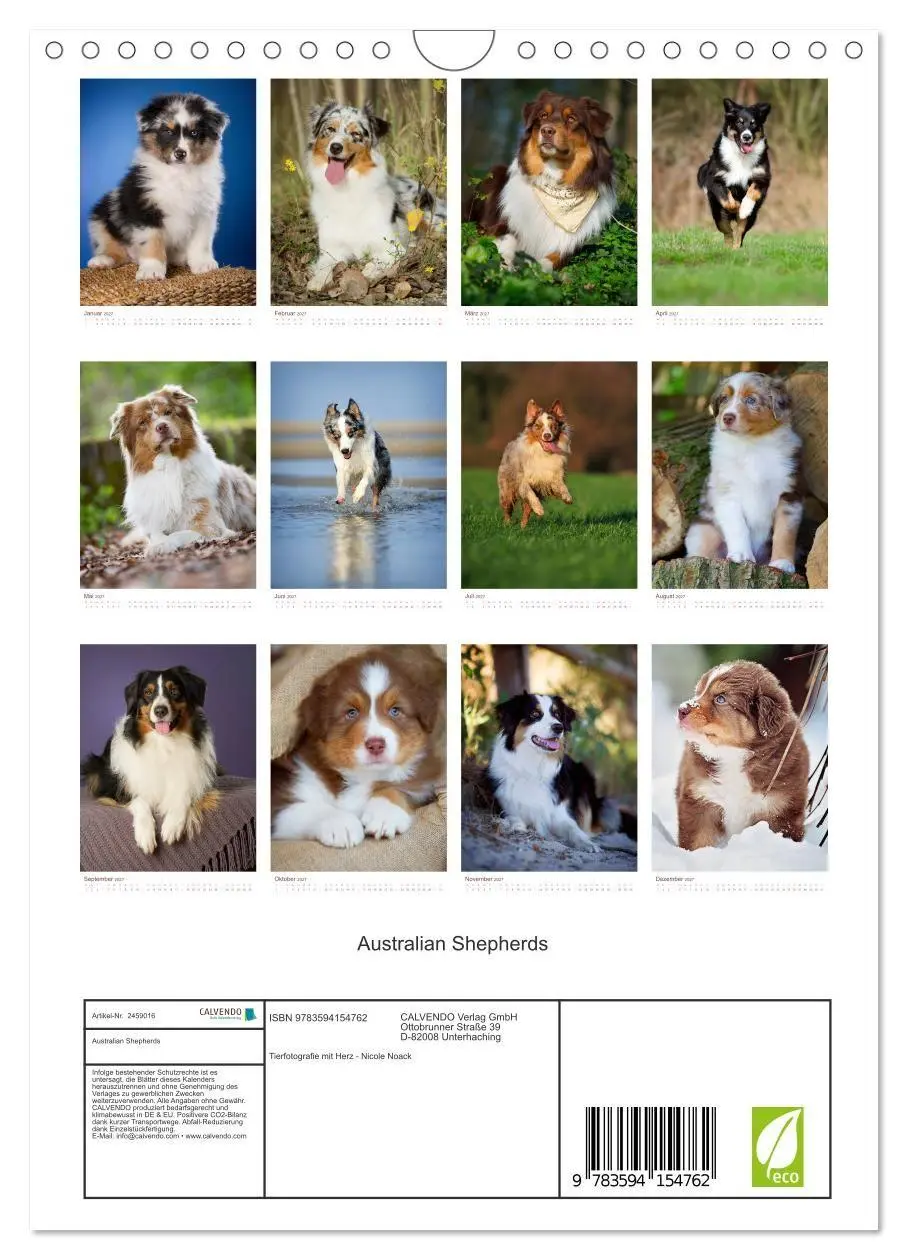 Bild: 9783594154762 | Australian Shepherds (Wandkalender 2027 DIN A4 hoch), CALVENDO...