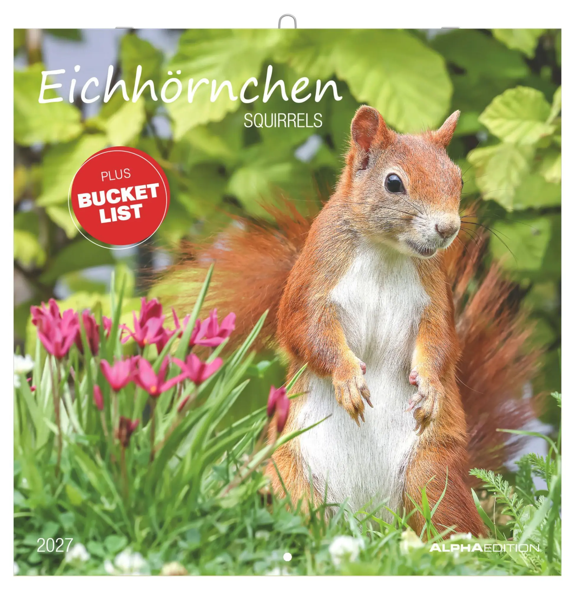 Cover: 4069095014862 | Eichhörnchen 2027 | Neumann Verlage GmbH &amp; Co KG | Kalender | 14 S.