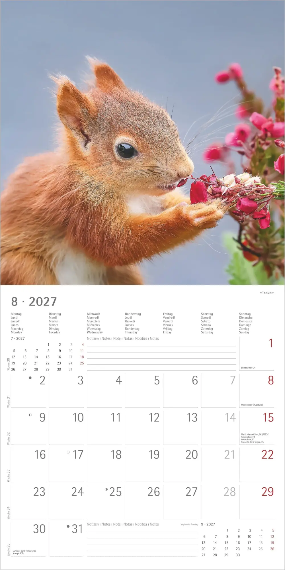 Bild: 4069095014862 | Eichhörnchen 2027 | Neumann Verlage GmbH &amp; Co KG | Kalender | 14 S.