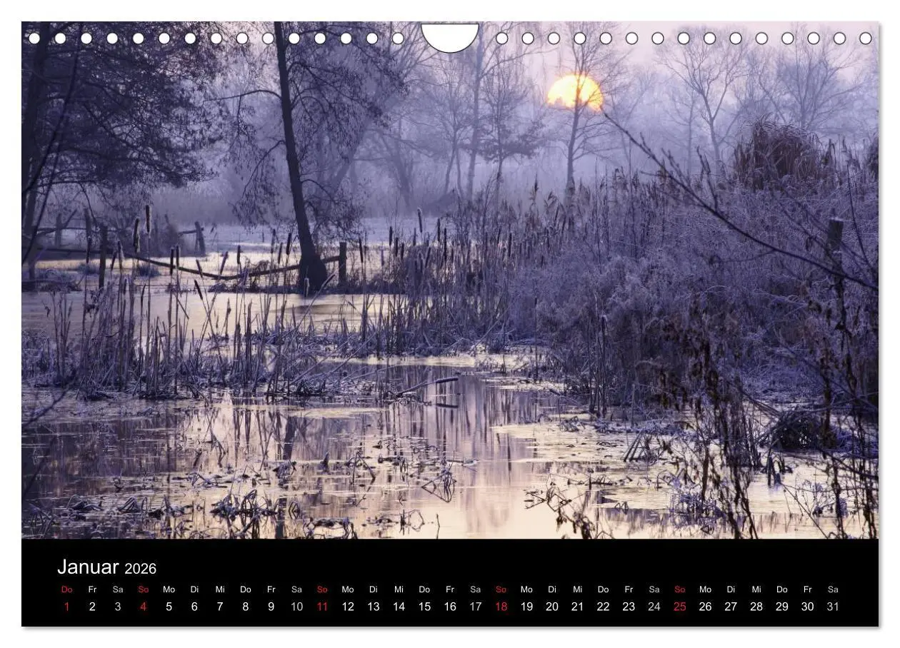Bild: 9783516164862 | Potsdam Impressionen (Wandkalender 2026 DIN A4 quer), CALVENDO...