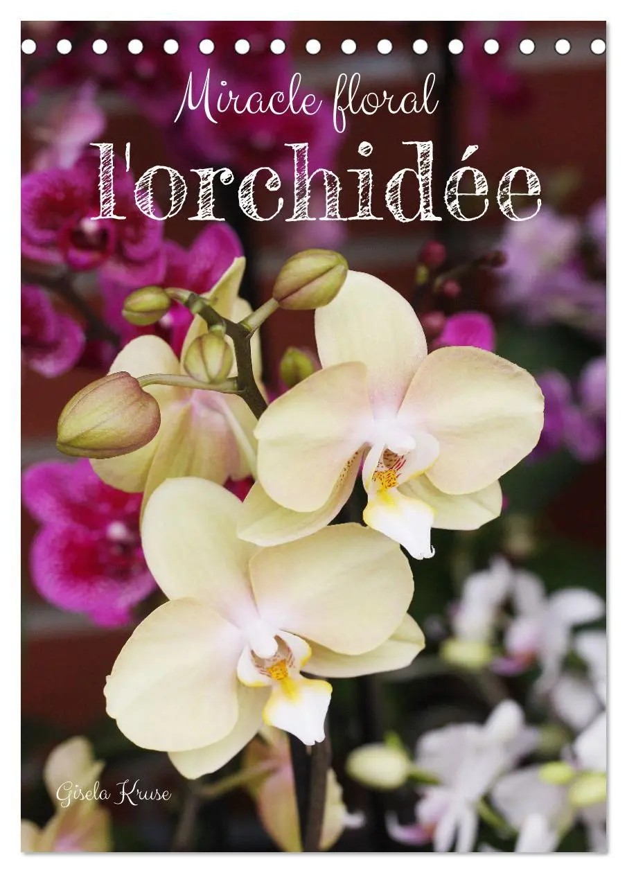 Cover: 9783516544862 | Miracle floral l'orchidée (Calendrier de bureau 2026 DIN A5...