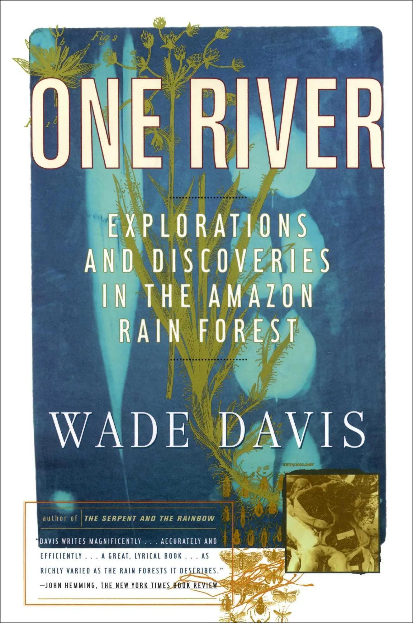 Cover: 9780684834962 | One River | Wade Davis | Taschenbuch | Kartoniert / Broschiert | 1997