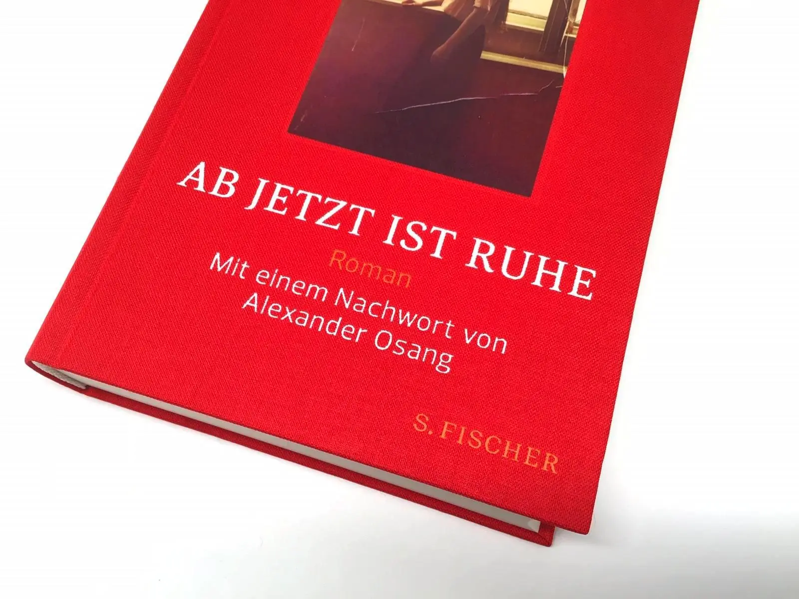Bild: 9783103975062 | Ab jetzt ist Ruhe | Roman meiner fabelhaften Familie | Marion Brasch