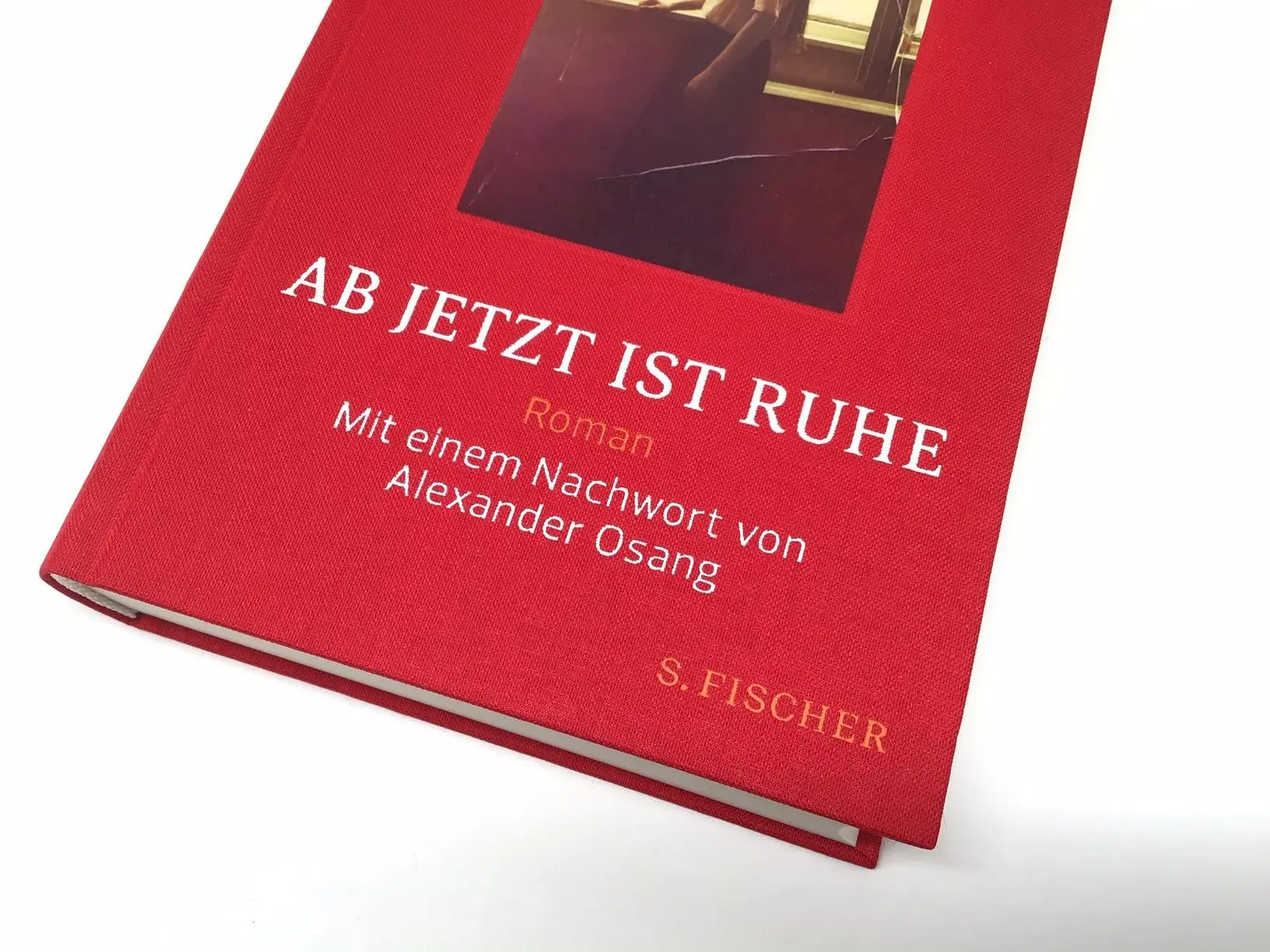 Bild: 9783103975062 | Ab jetzt ist Ruhe | Roman meiner fabelhaften Familie | Marion Brasch
