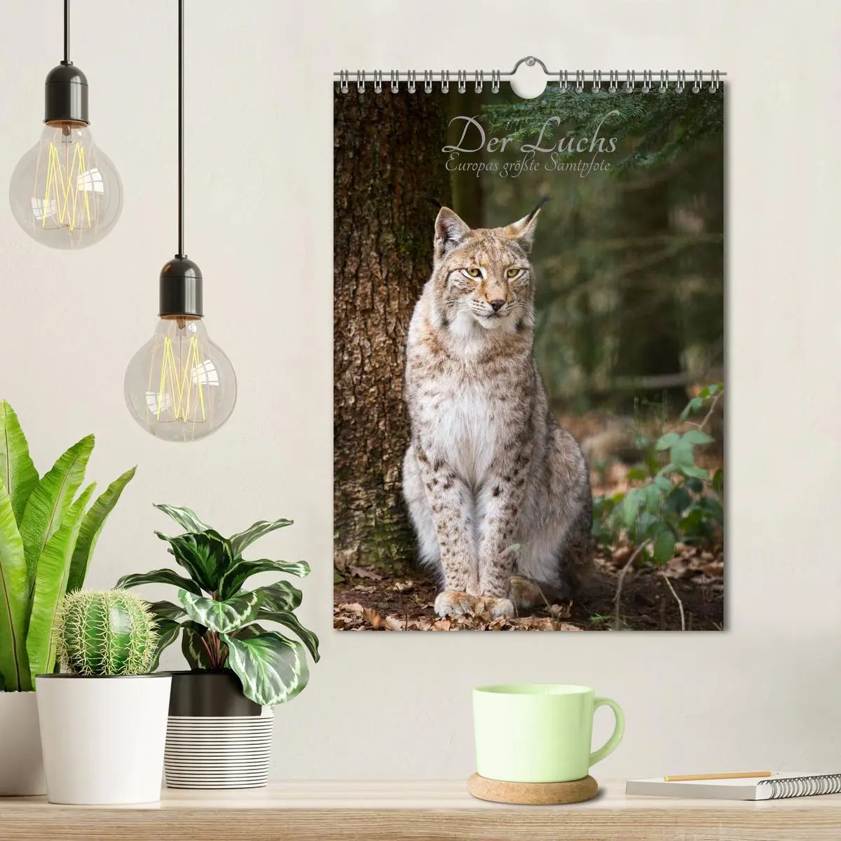 Bild: 9783516425062 | Der Luchs - Europas größte Samtpfote (Wandkalender 2026 DIN A4...