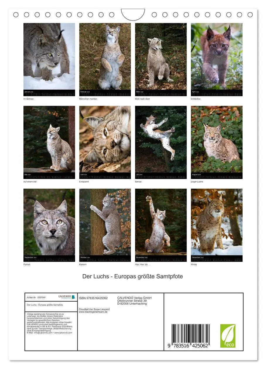 Bild: 9783516425062 | Der Luchs - Europas größte Samtpfote (Wandkalender 2026 DIN A4...