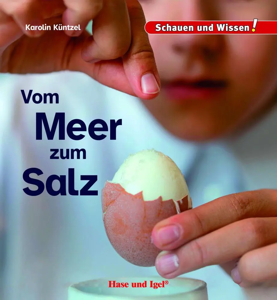 Cover: 9783863165062 | Vom Meer zum Salz | Schauen und Wissen! | Karolin Küntzel | Buch