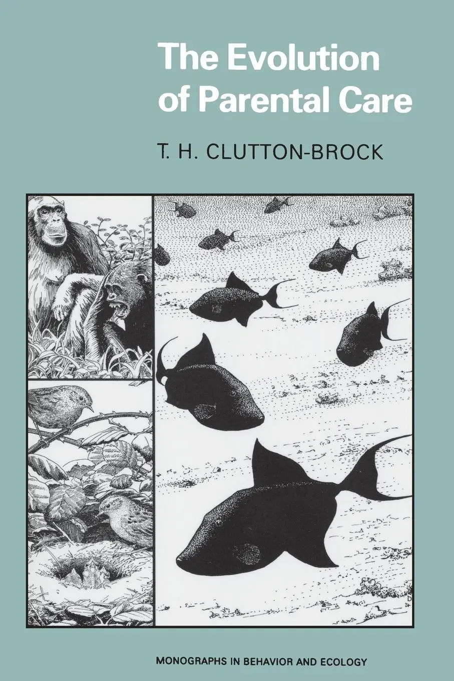 Cover: 9780691025162 | The Evolution of Parental Care | T. H. Clutton-Brock | Taschenbuch