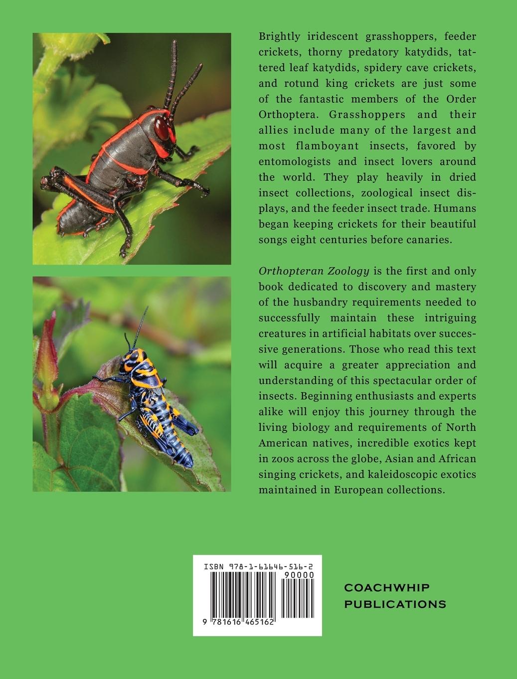 Rückseite: 9781616465162 | Orthopteran Zoology | How to Keep Grasshoppers, Crickets, and Katydids