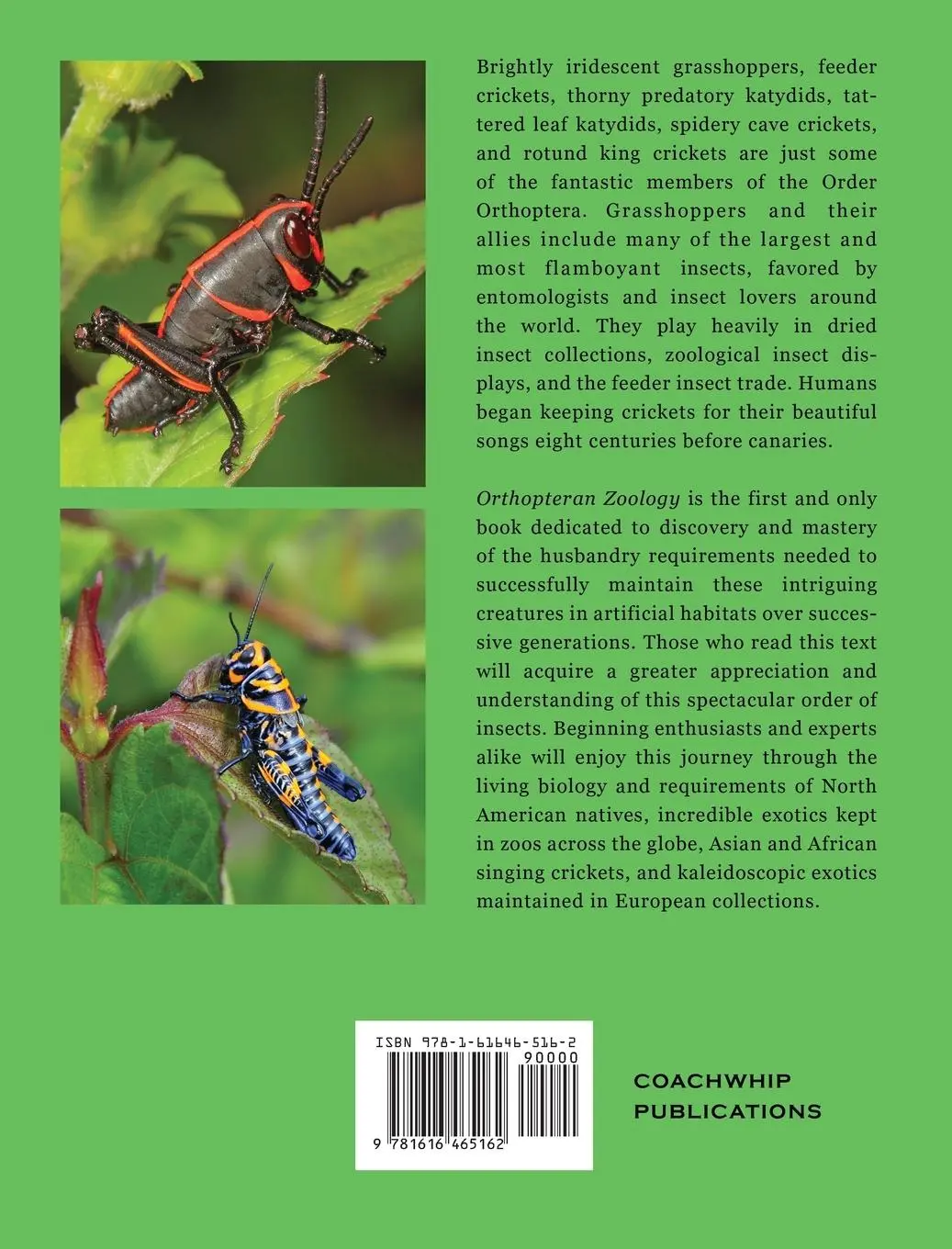 Rückseite: 9781616465162 | Orthopteran Zoology | How to Keep Grasshoppers, Crickets, and Katydids