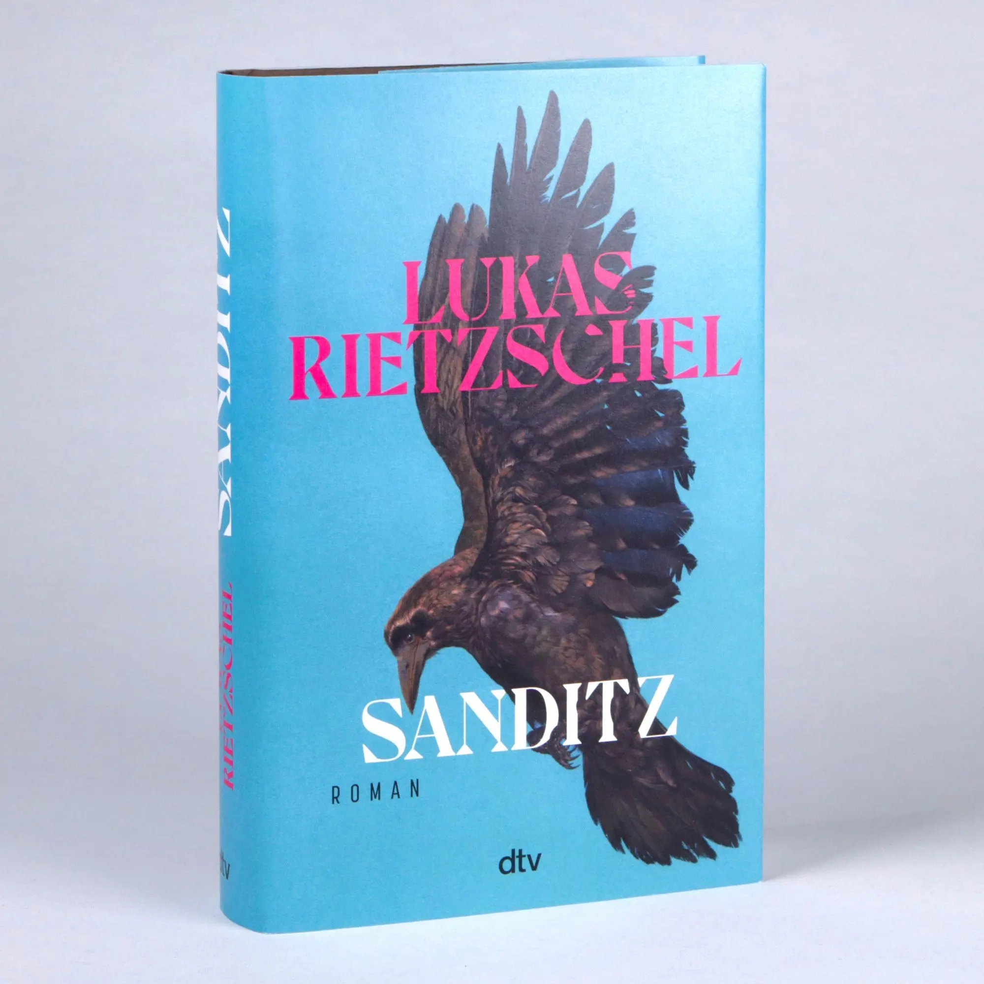 Bild: 9783423285162 | Sanditz | Lukas Rietzschel | Buch | 480 S. | Deutsch | 2026