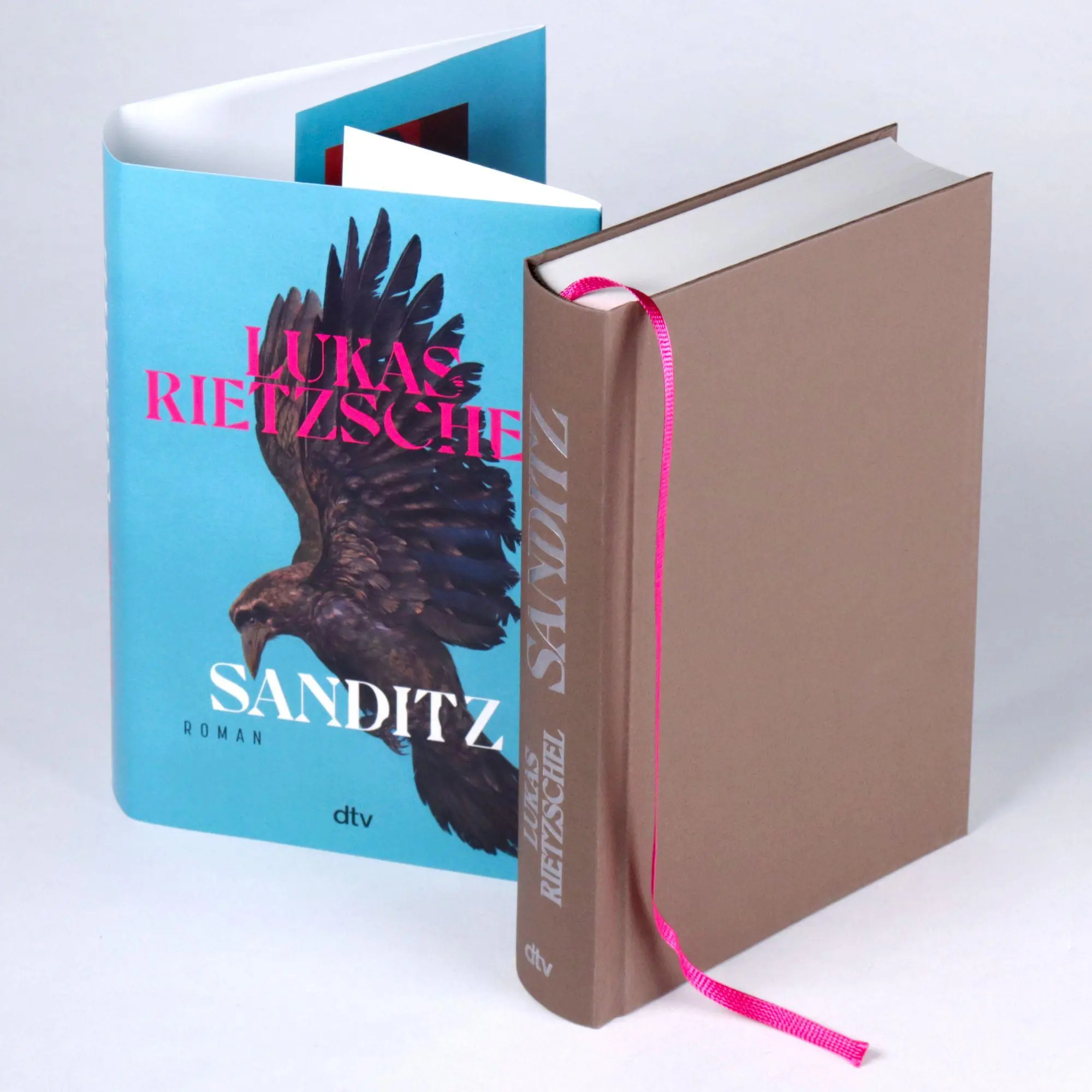 Bild: 9783423285162 | Sanditz | Lukas Rietzschel | Buch | 480 S. | Deutsch | 2026