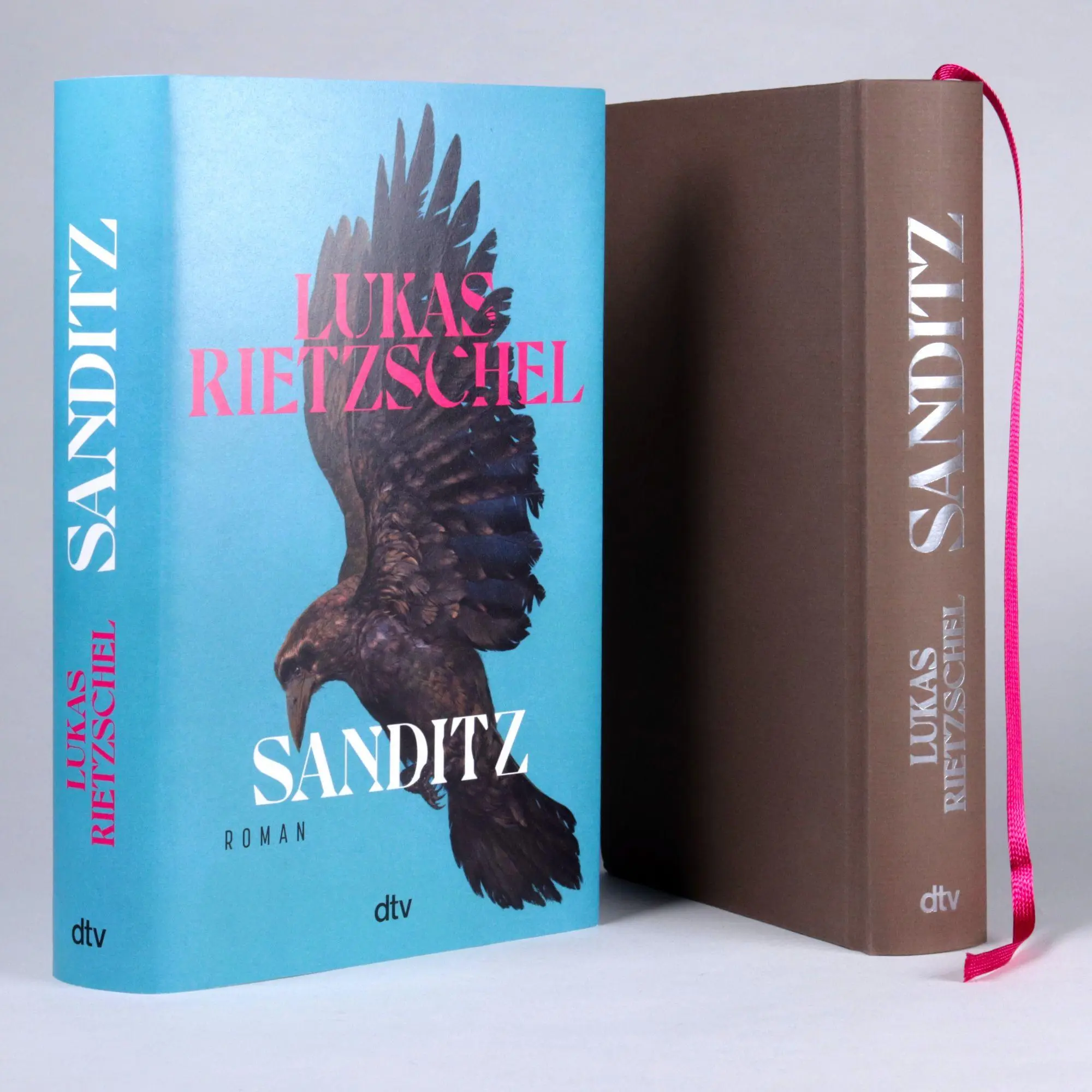 Bild: 9783423285162 | Sanditz | Lukas Rietzschel | Buch | 480 S. | Deutsch | 2026