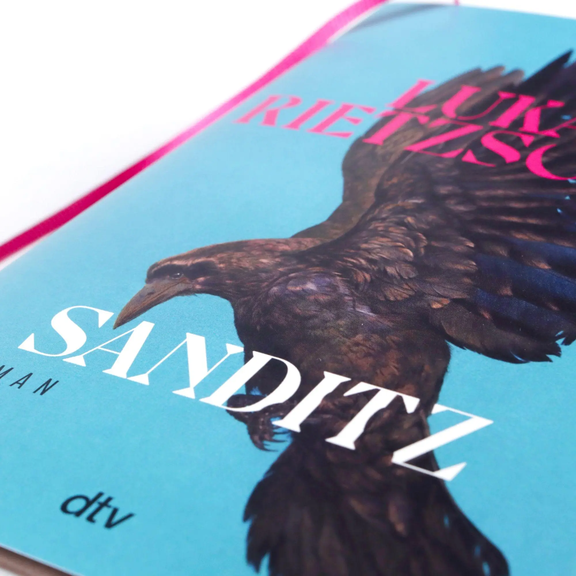 Bild: 9783423285162 | Sanditz | Lukas Rietzschel | Buch | 480 S. | Deutsch | 2026