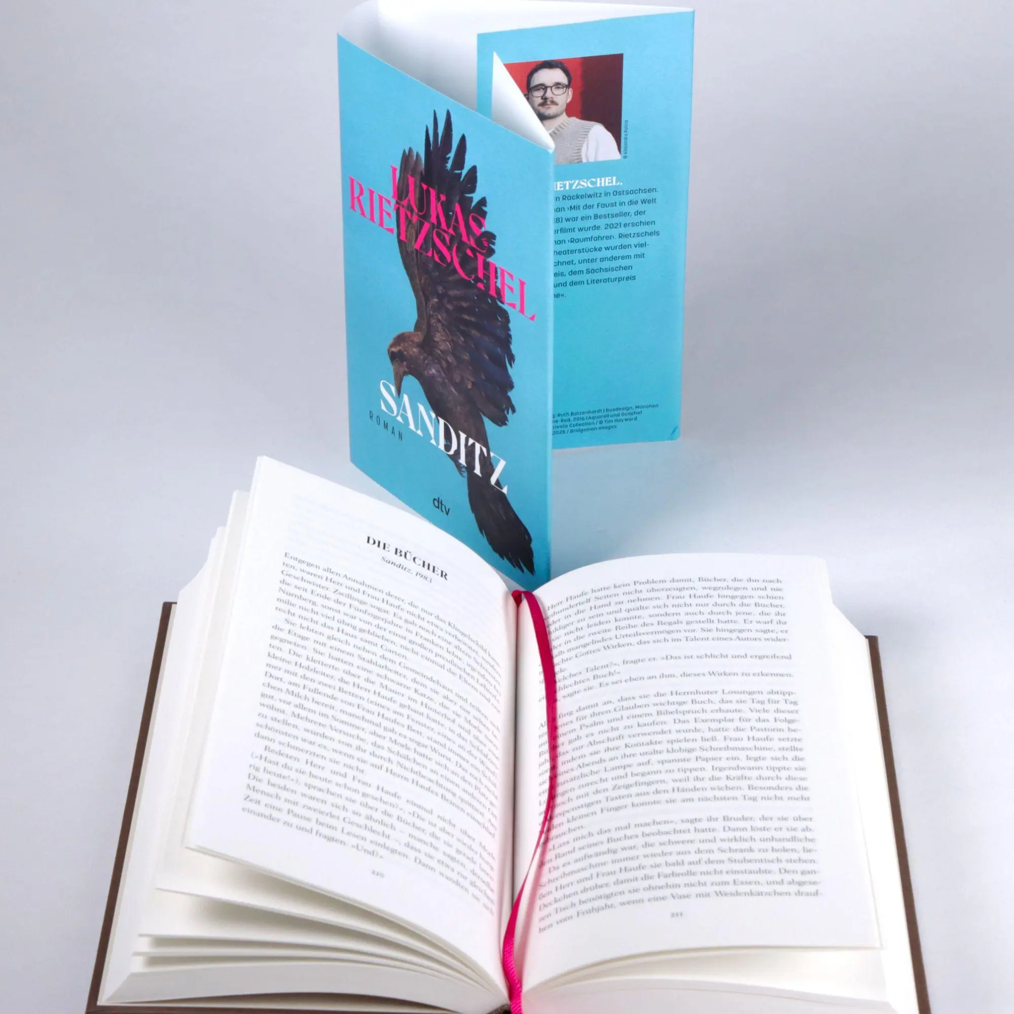 Bild: 9783423285162 | Sanditz | Lukas Rietzschel | Buch | 480 S. | Deutsch | 2026