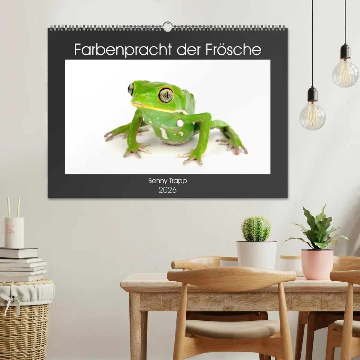 Bild: 9783457875162 | Farbenpracht der Frösche (Wandkalender 2026 DIN A2 quer), CALVENDO...