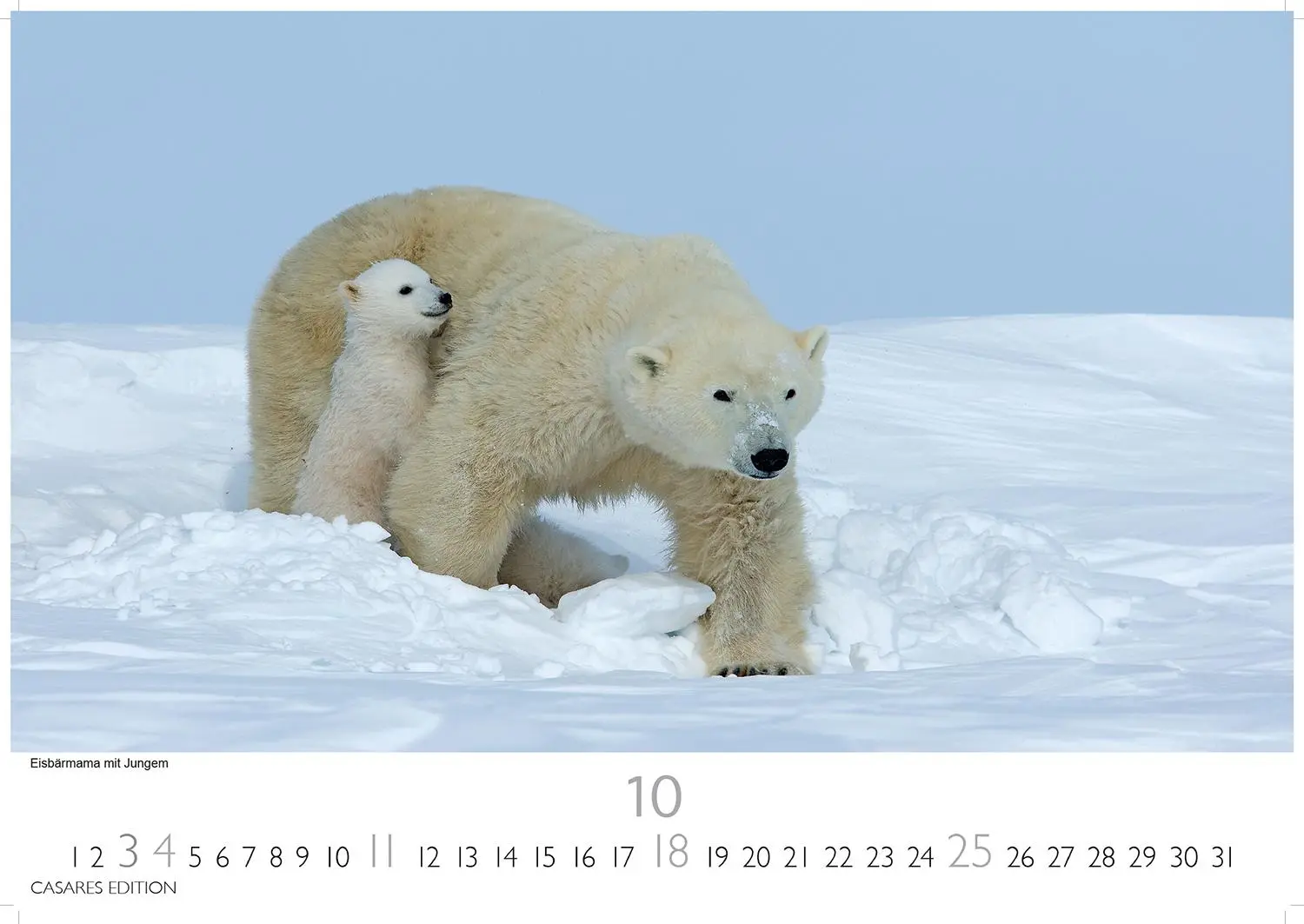 Bild: 9781835245262 | Grönland 2026 S 24x35cm | Kalender | 14 S. | Deutsch | 2026