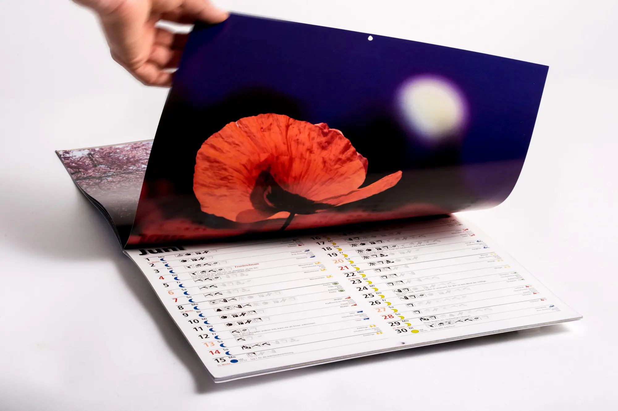 Bild: 9783442395262 | Das Mondjahr 2026 - Wandkalender | Johanna Paungger (u. a.) | Kalender