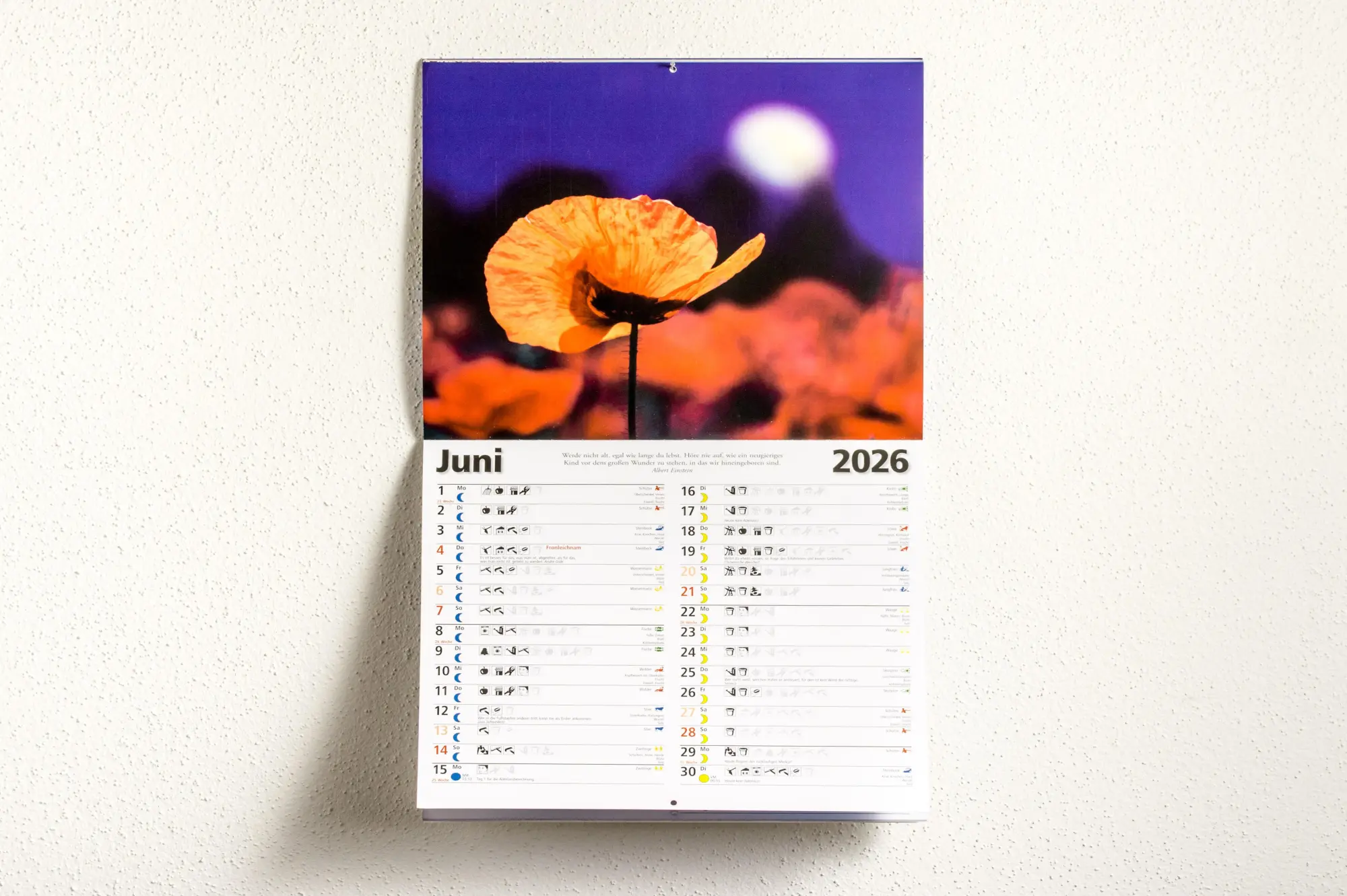 Bild: 9783442395262 | Das Mondjahr 2026 - Wandkalender | Johanna Paungger (u. a.) | Kalender