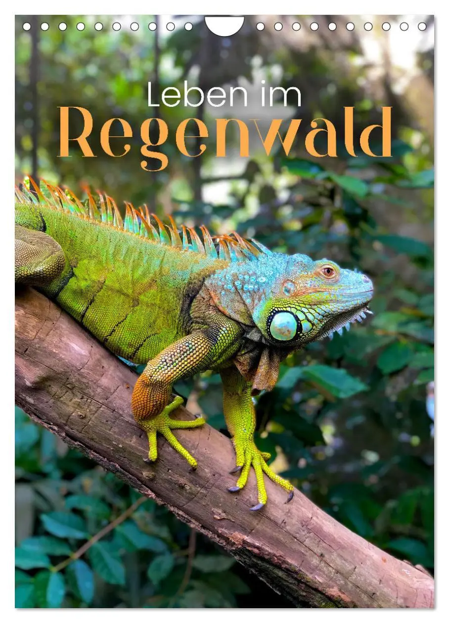 Cover: 9783516335262 | Leben im Regenwald (Wandkalender 2026 DIN A4 hoch), CALVENDO...
