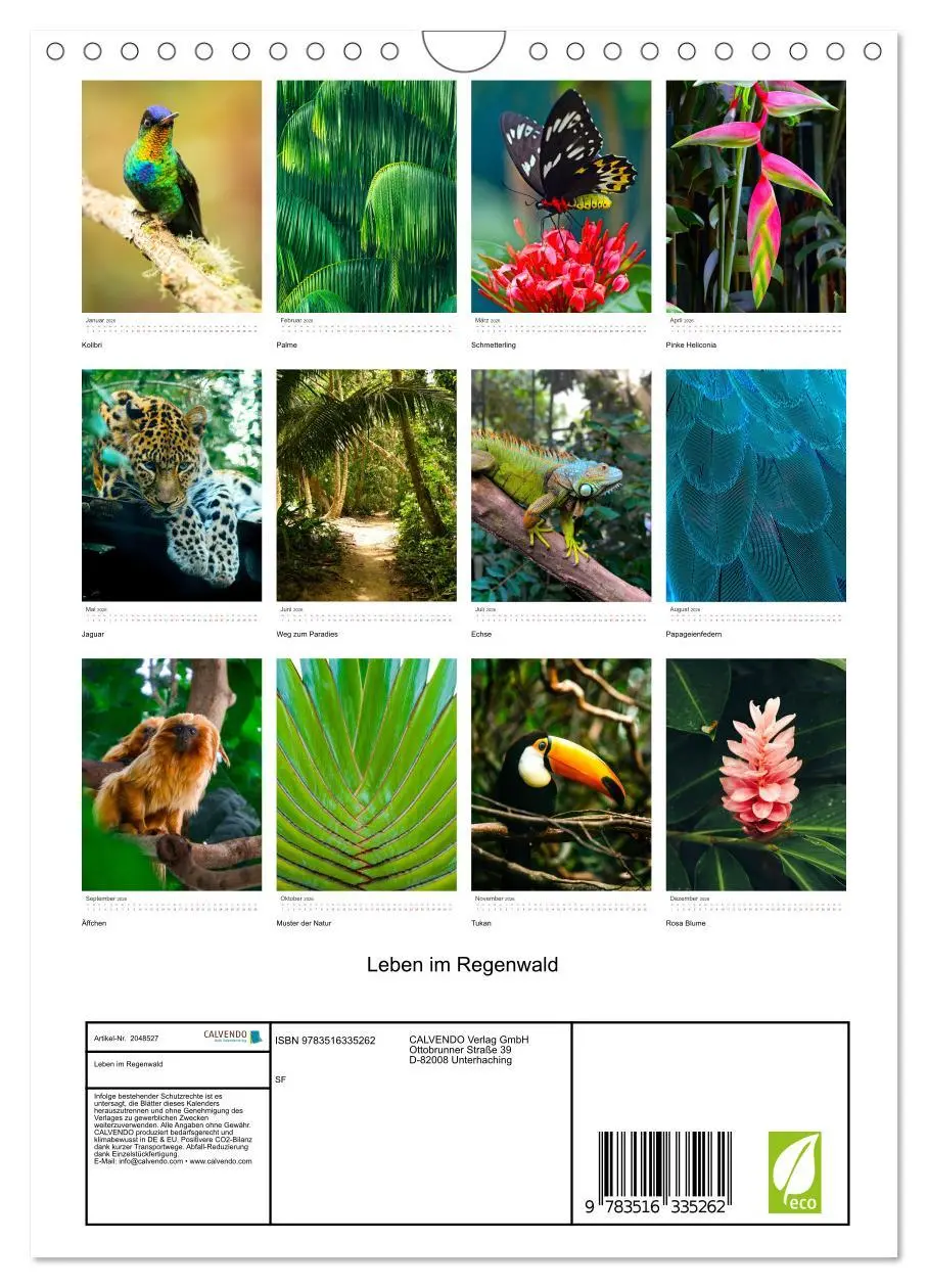Bild: 9783516335262 | Leben im Regenwald (Wandkalender 2026 DIN A4 hoch), CALVENDO...