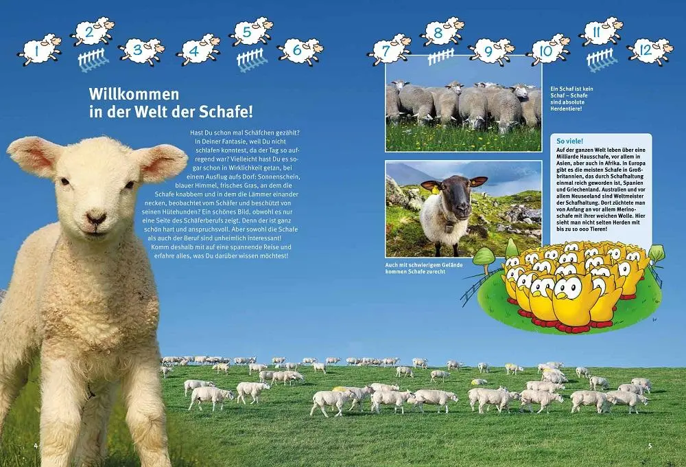 Bild: 9783866595262 | Entdecke die Schafe | Jutta Heise (u. a.) | Buch | 64 S. | Deutsch
