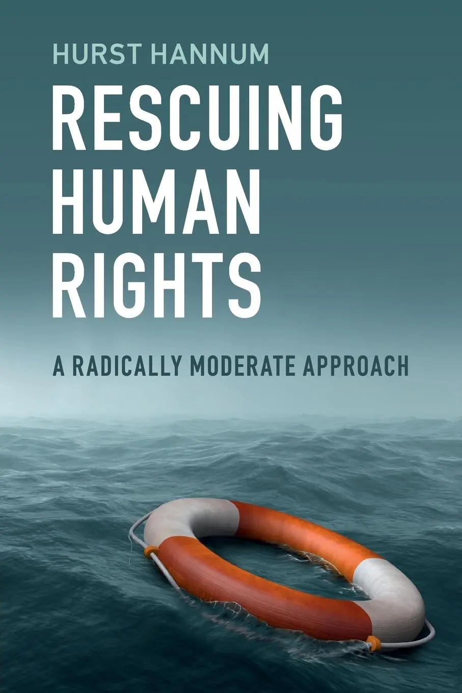 Cover: 9781108405362 | Rescuing Human Rights | Hurst Hannum | Taschenbuch | Englisch | 2019