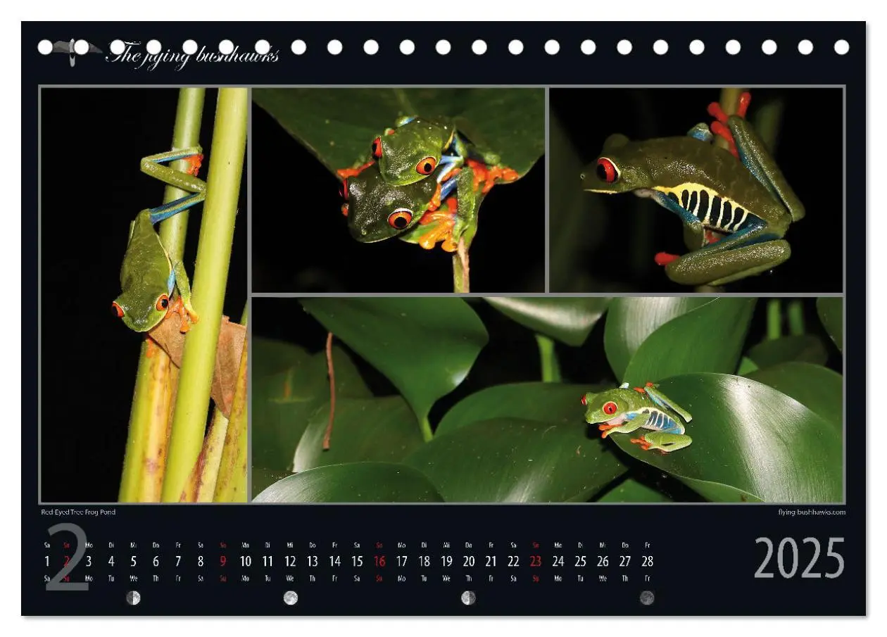 Bild: 9783383815362 | Costa Rica Blickwinkel 2025 (Tischkalender 2025 DIN A5 quer),...