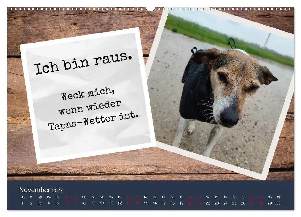 Bild: 9783569415362 | Ratonero Bodeguero Andaluz (hochwertiger Premium Wandkalender 2027...