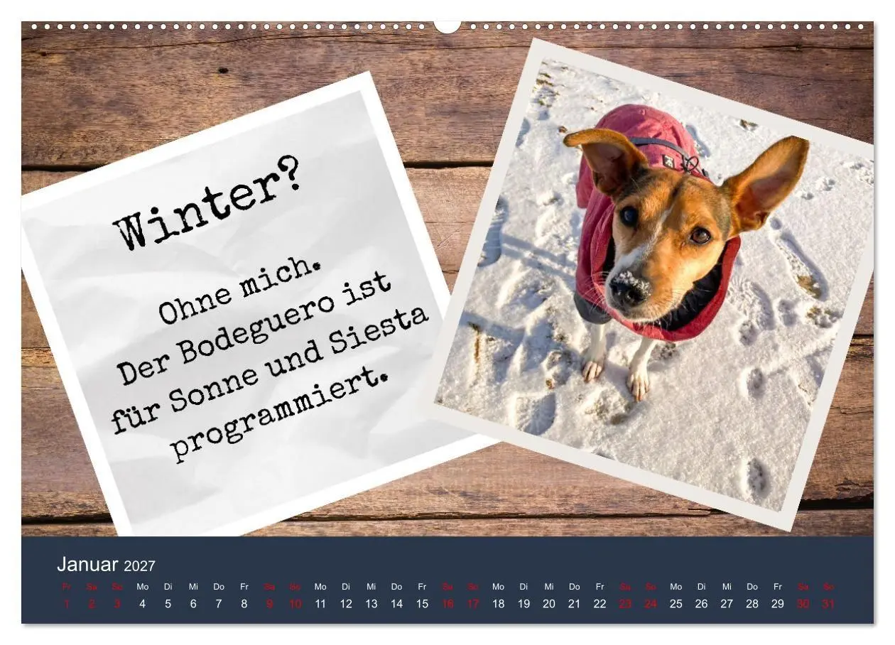 Bild: 9783569415362 | Ratonero Bodeguero Andaluz (hochwertiger Premium Wandkalender 2027...