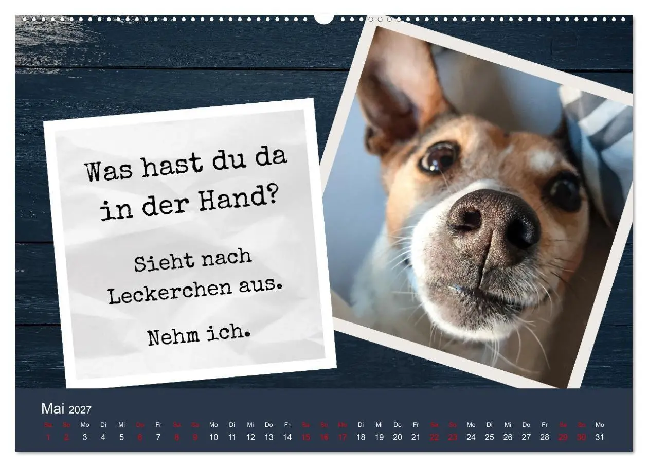Bild: 9783569415362 | Ratonero Bodeguero Andaluz (hochwertiger Premium Wandkalender 2027...