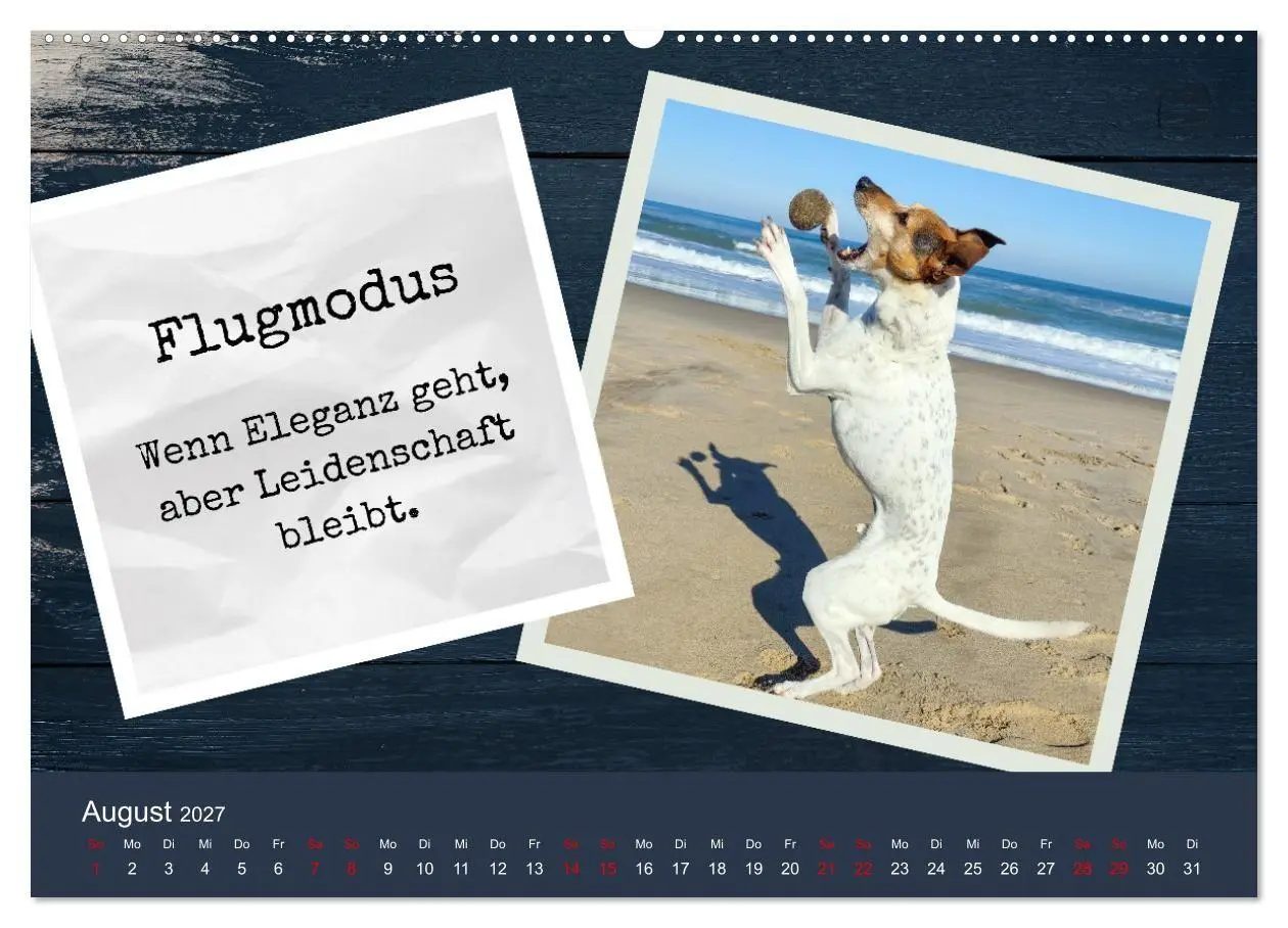Bild: 9783569415362 | Ratonero Bodeguero Andaluz (hochwertiger Premium Wandkalender 2027...