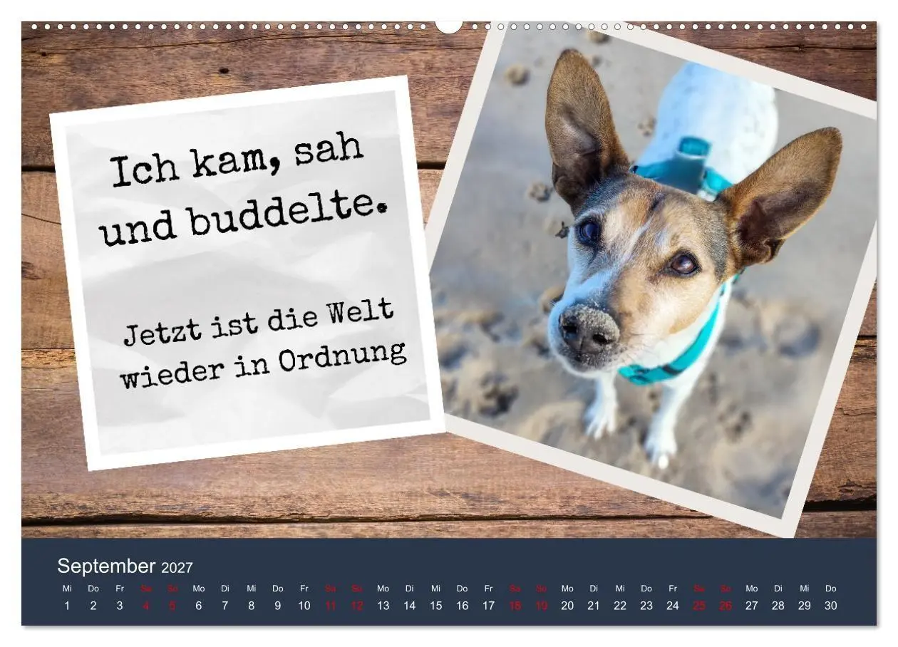 Bild: 9783569415362 | Ratonero Bodeguero Andaluz (hochwertiger Premium Wandkalender 2027...