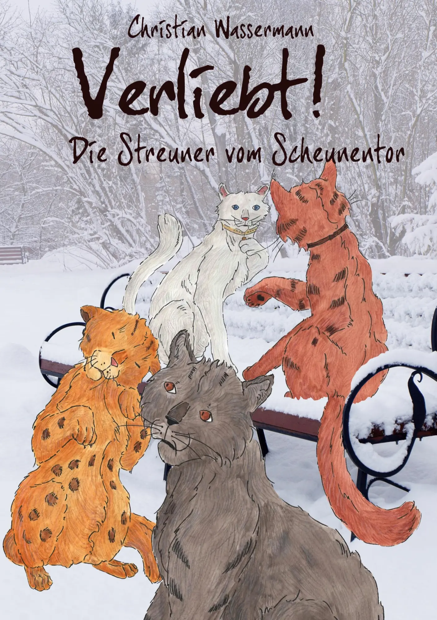 Cover: 9783750415362 | Verliebt! | Die Streuner vom Scheunentor | Christian Wassermann | Buch