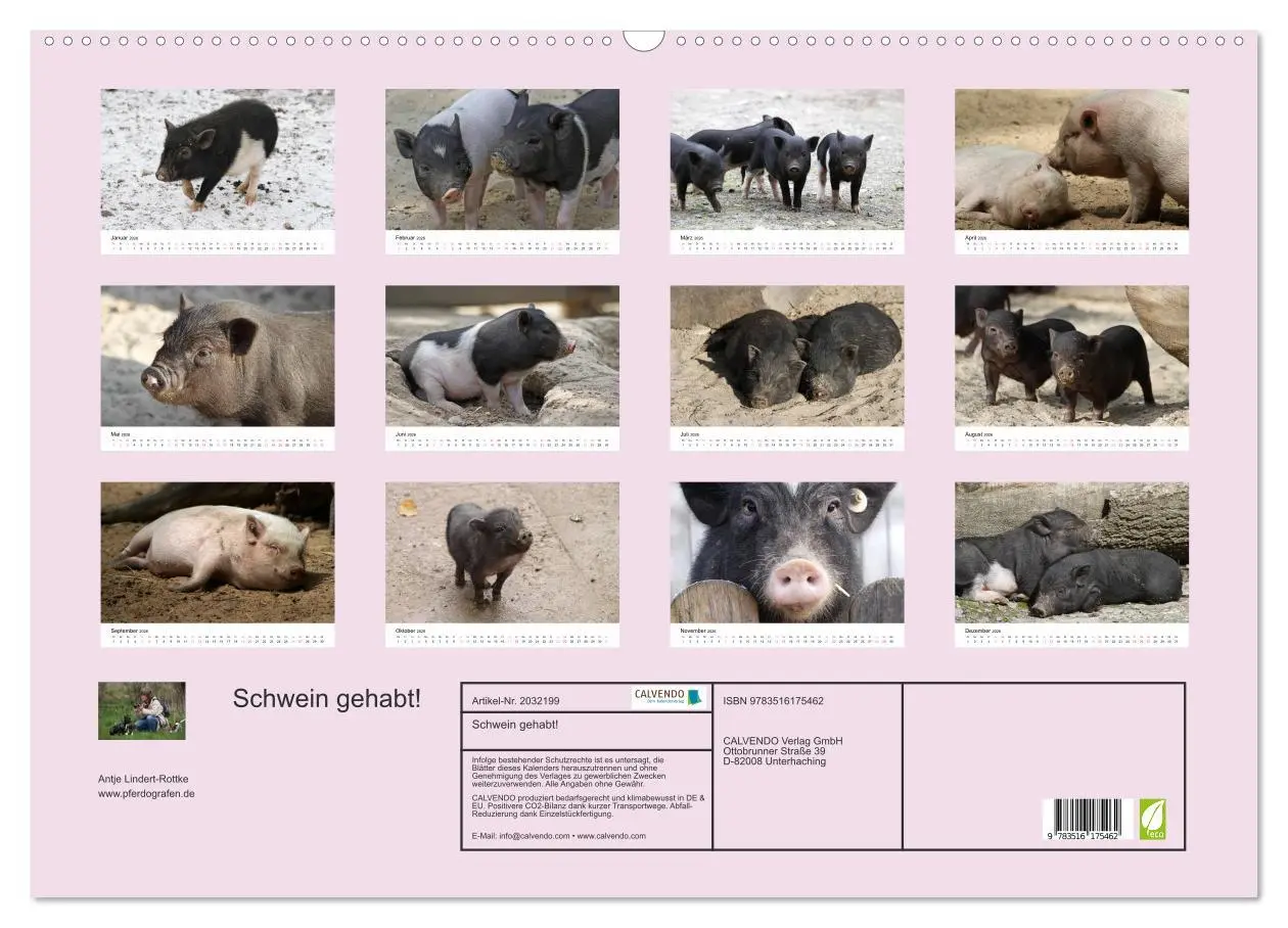 Bild: 9783516175462 | Schwein gehabt! (Wandkalender 2026 DIN A2 quer), CALVENDO...