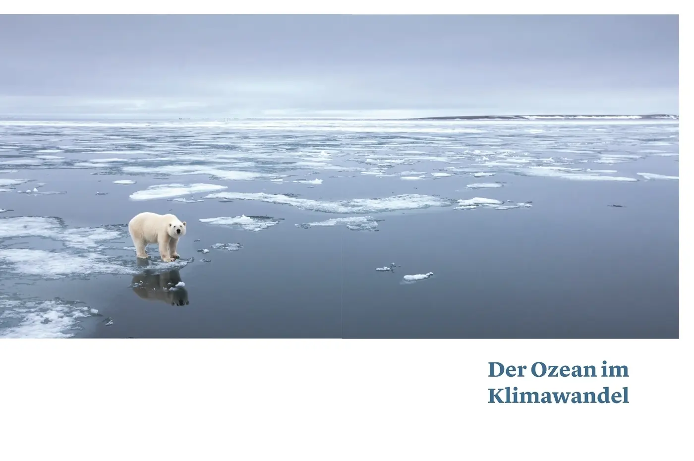 Bild: 9783806245462 | Mensch und Meer | Wie die Macht der Ozeane unser Leben prägt | Buch