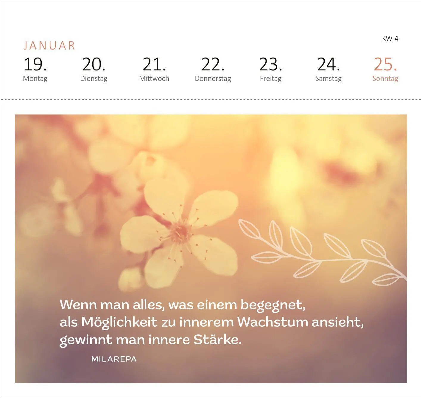 Bild: 4014489135562 | Postkartenkalender 365 Tage Achtsamkeit 2026 | Kalender | 108 S.