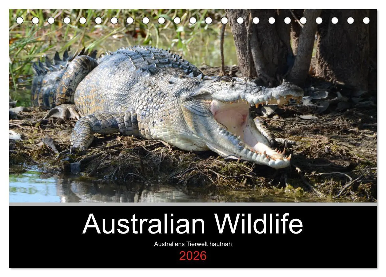 Cover: 9783457905562 | Australian Wildlife (Tischkalender 2026 DIN A5 quer), CALVENDO...
