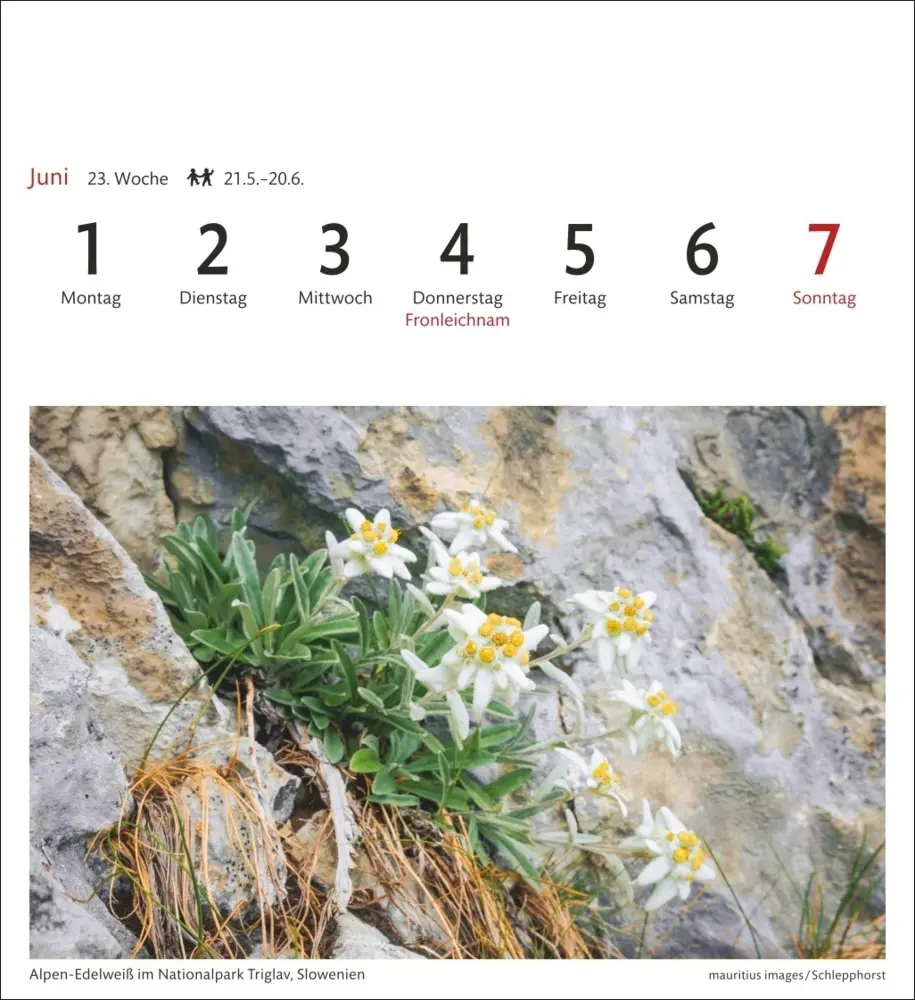 Bild: 9783840035562 | Alpen Sehnsuchtskalender 2026 - Wochenkalender mit 53 Postkarten