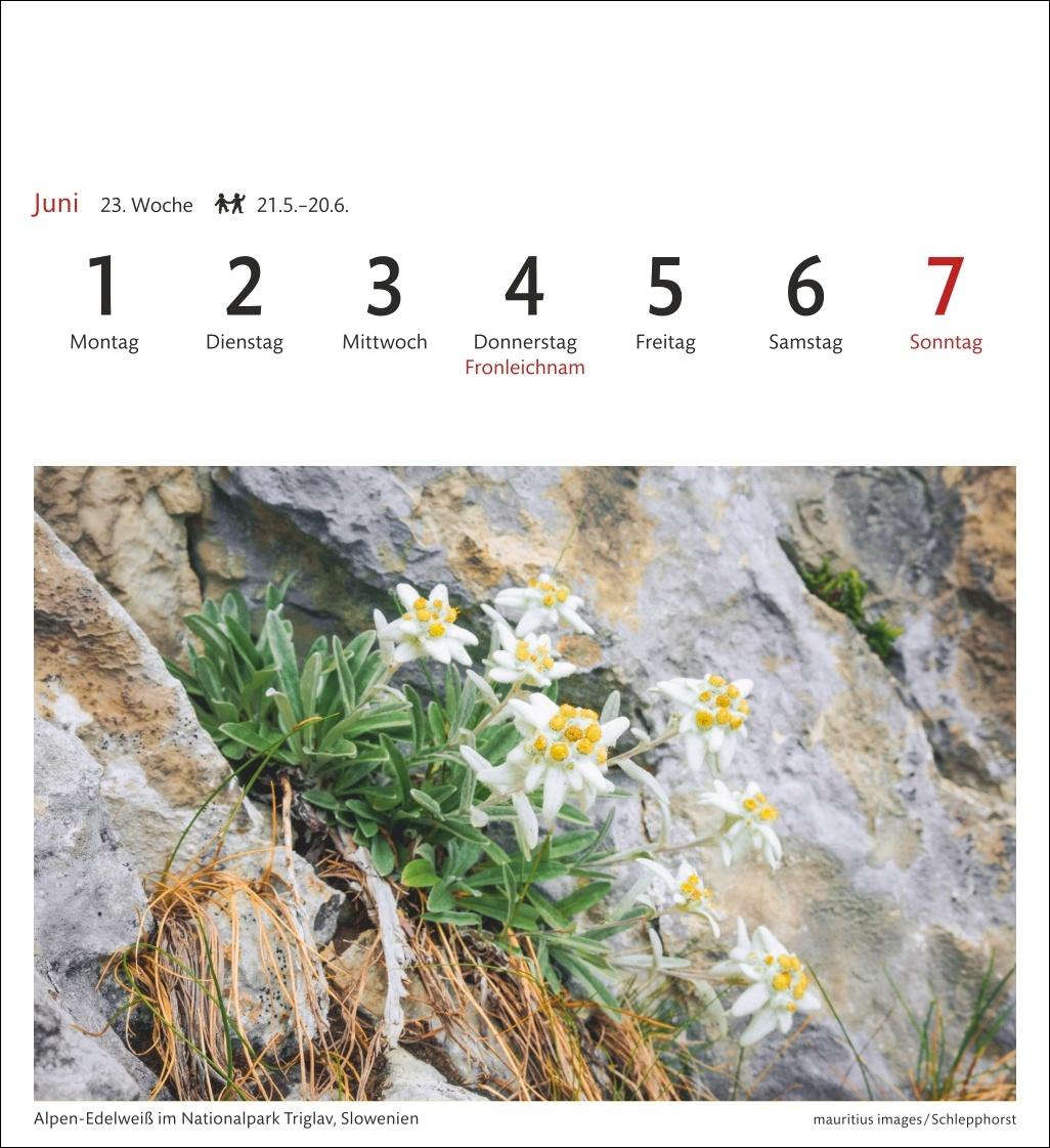 Bild: 9783840035562 | Alpen Sehnsuchtskalender 2026 - Wochenkalender mit 53 Postkarten