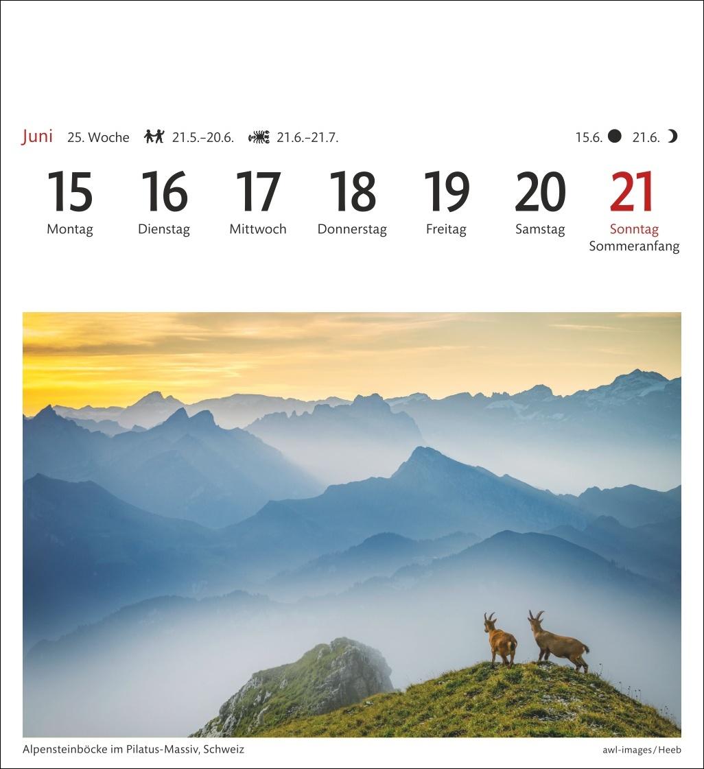 Bild: 9783840035562 | Alpen Sehnsuchtskalender 2026 - Wochenkalender mit 53 Postkarten