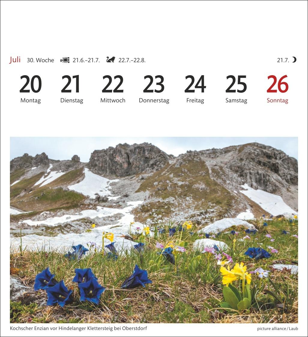 Bild: 9783840035562 | Alpen Sehnsuchtskalender 2026 - Wochenkalender mit 53 Postkarten
